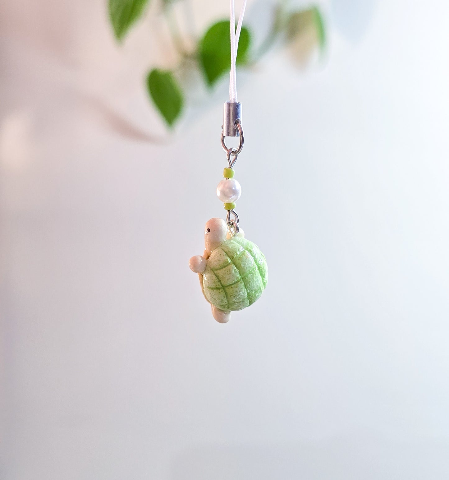Melonpan turtle